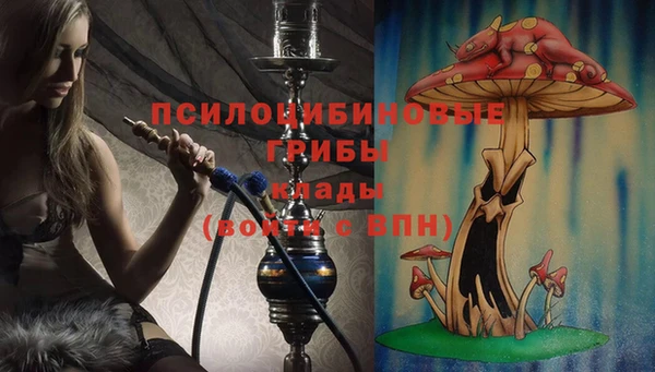 ALPHA-PVP Алексин